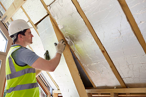Best Insulation Inspection Services  in Camp Hill, PA